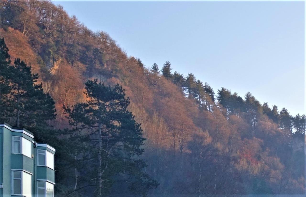 Wye Rapids House Bed and Breakfast Symonds Yat Exterior foto